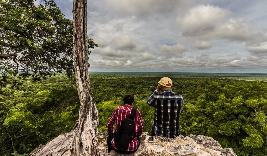 Que faire au Mexique ? - Réserve Naturelle de la Biosphère de Calakmul © Alejandro Hernández Flickr