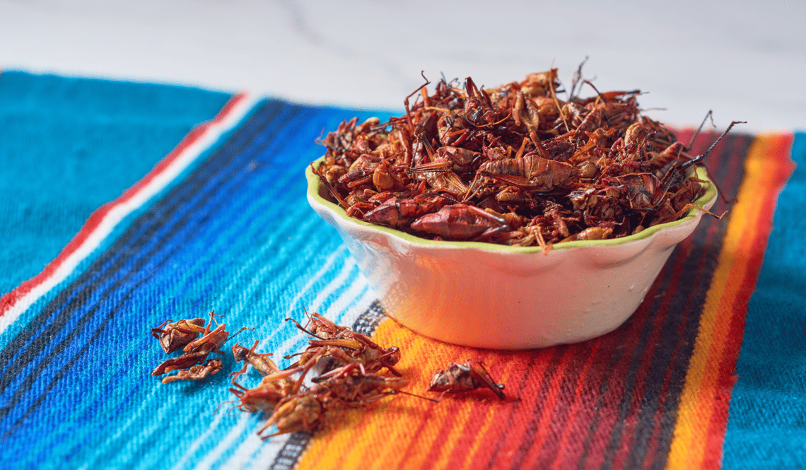 Chapulines