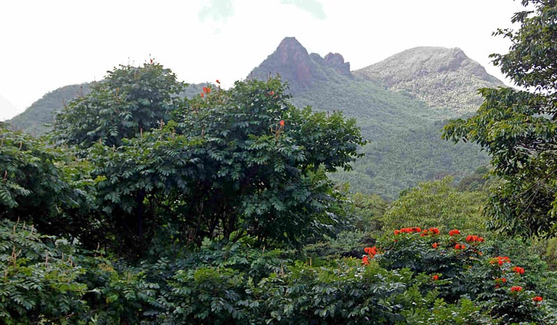 El Yunque