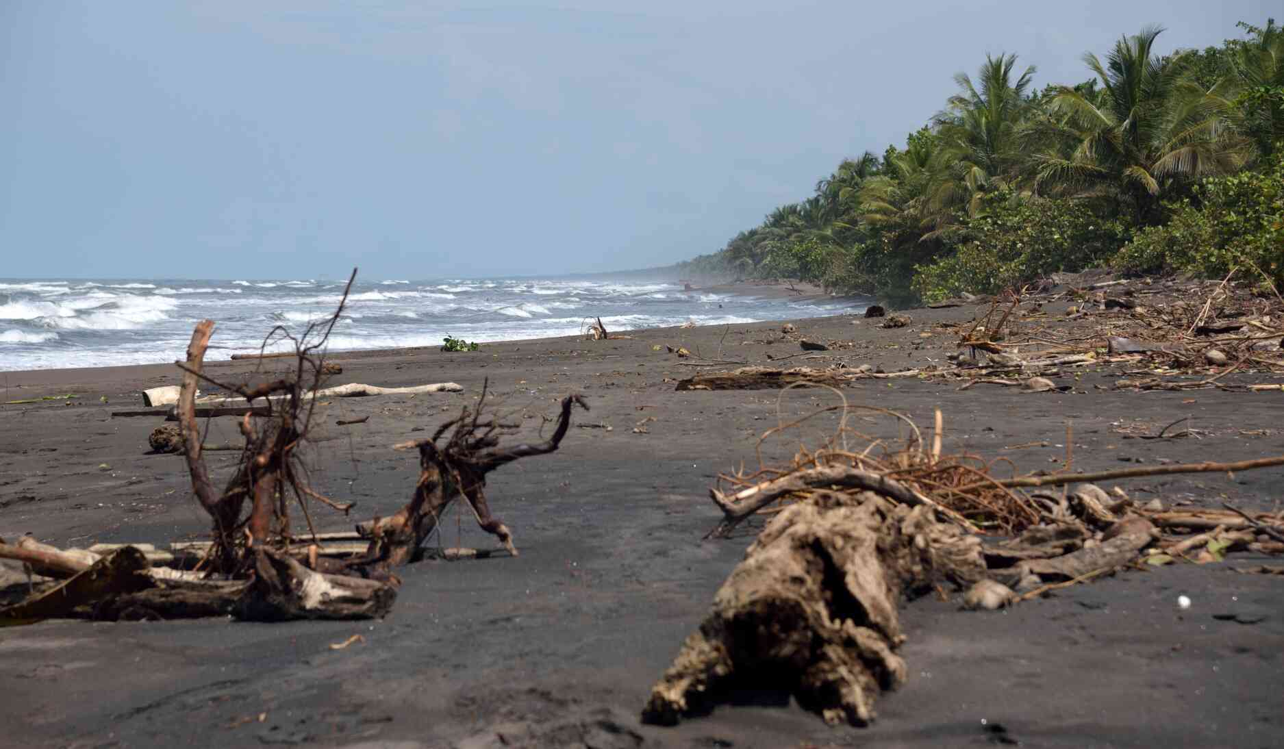 plage-de-sable-noir-tortuguero