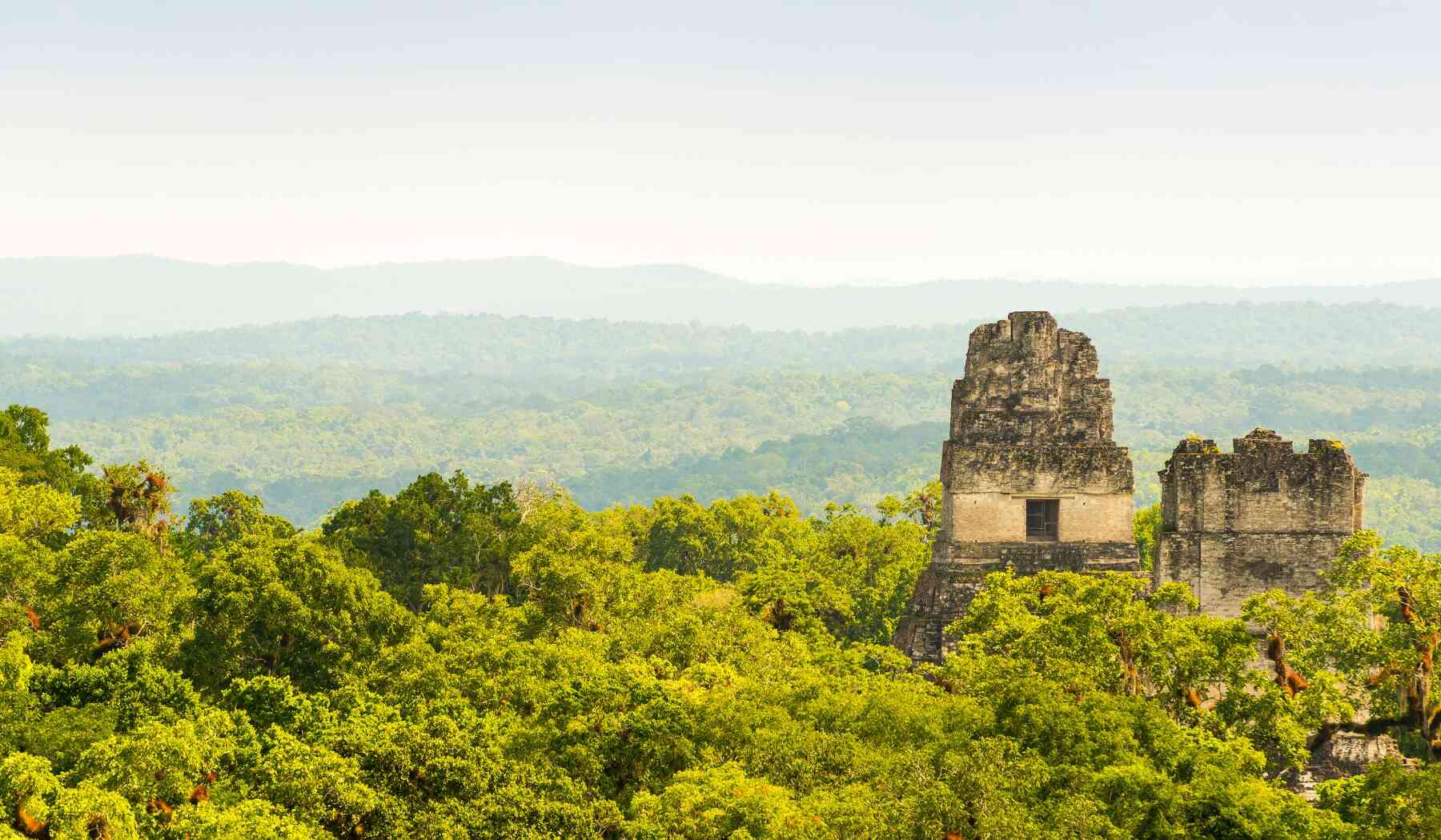 tikal-mesoamerican BP