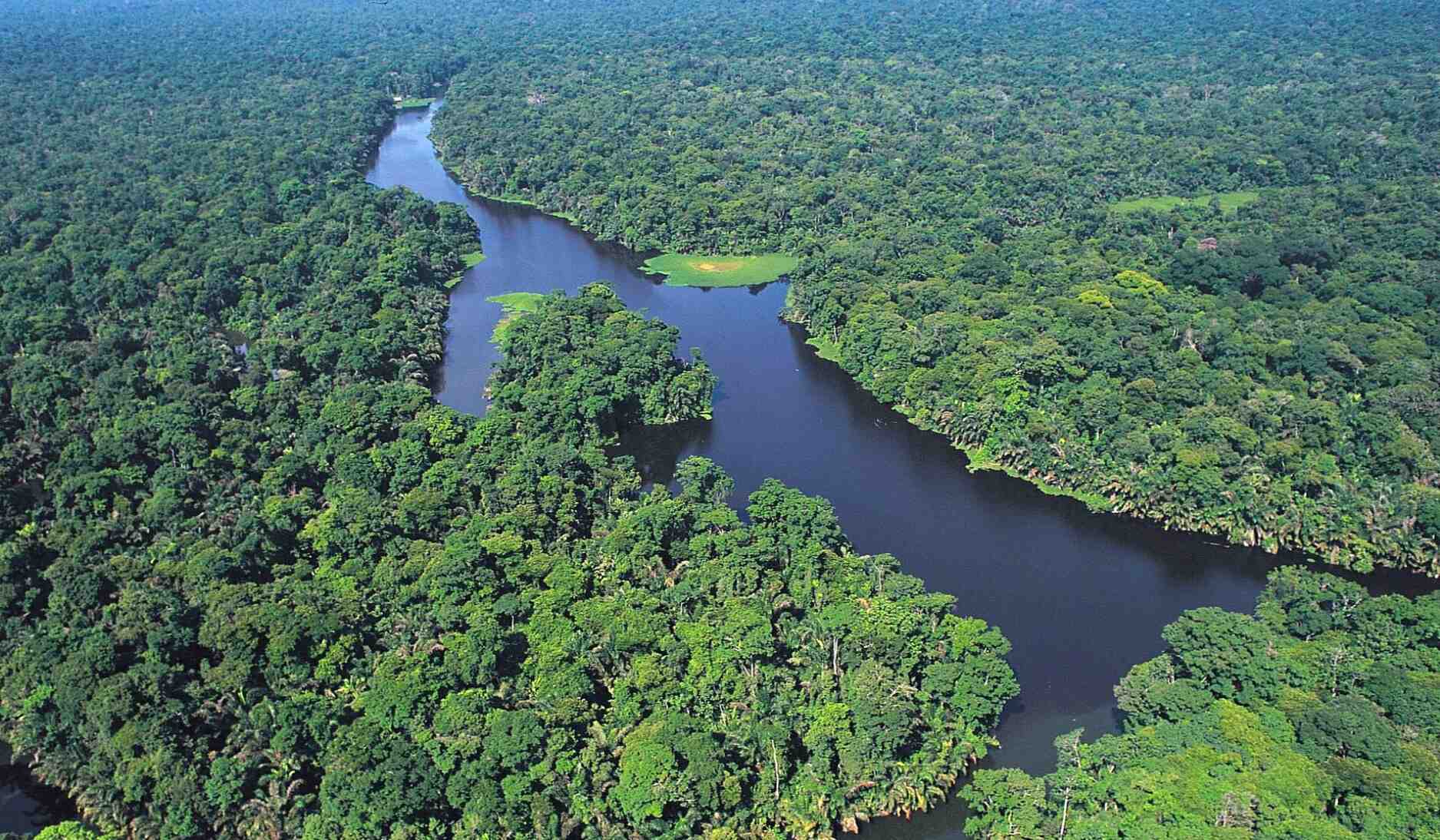 parc-national-tortuguero