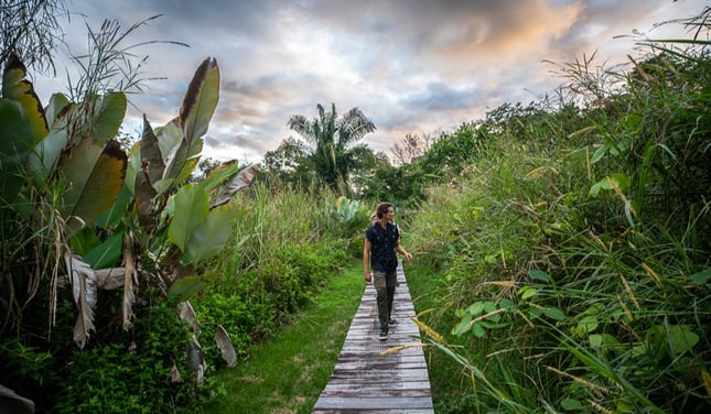 Costa-Rica-nature