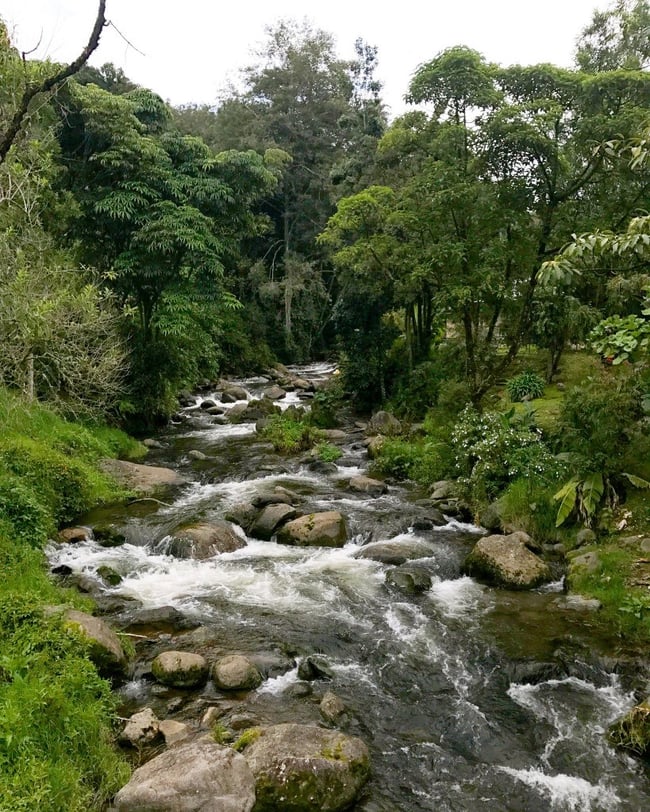Bonne nouvelle Costa Rica : Rivière de Savegre