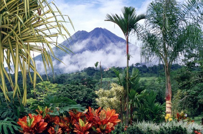 Le volcan Arenal au loin, derrière une végétation dense