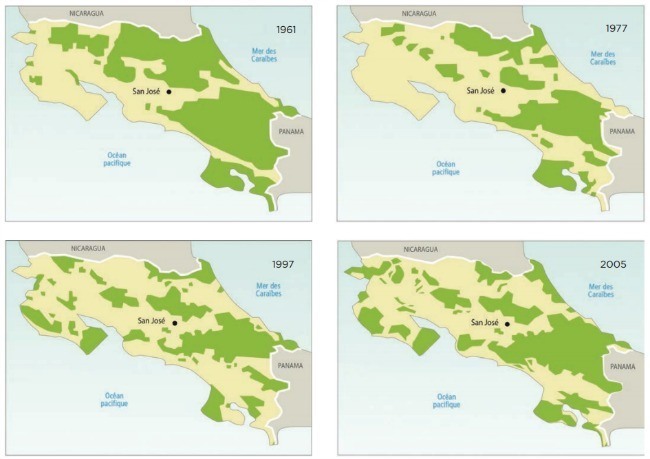 déforestation et reforestation