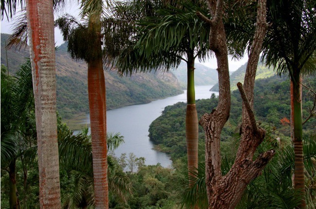 Le cours d'eau descend jusqu'au lac Hanabanilla