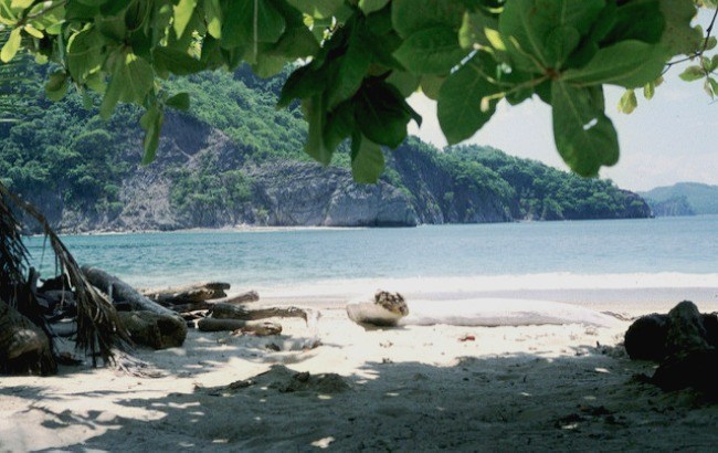 l'île Tortuga au Costa Rica, plus belles plages du Costa Rica