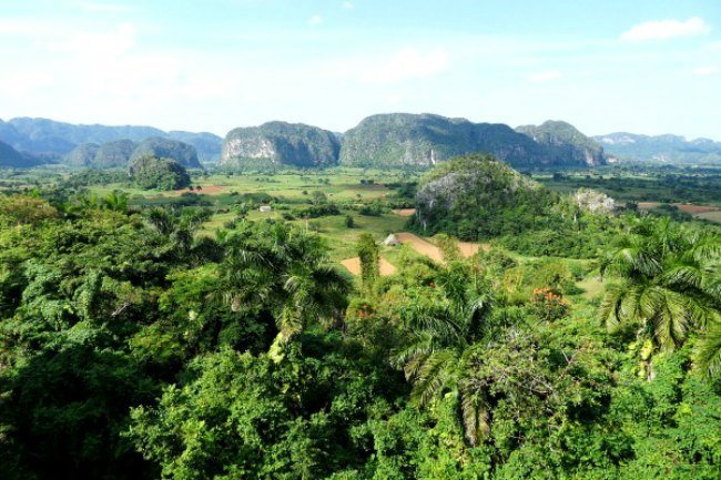 La vallée de Viñales avec ses mogotes au loin