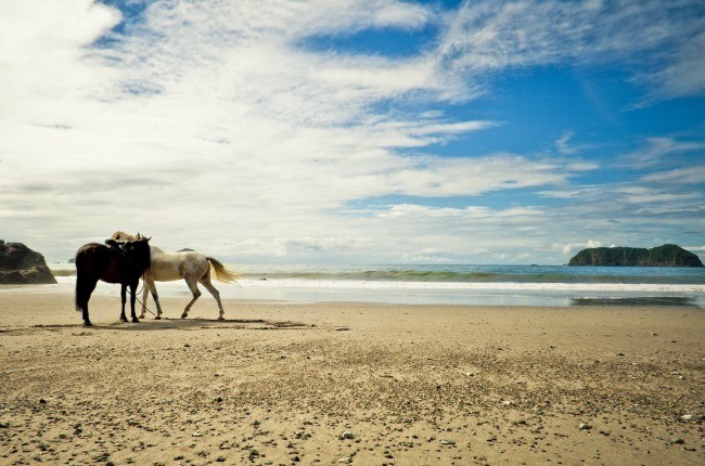 Manuel Antonio