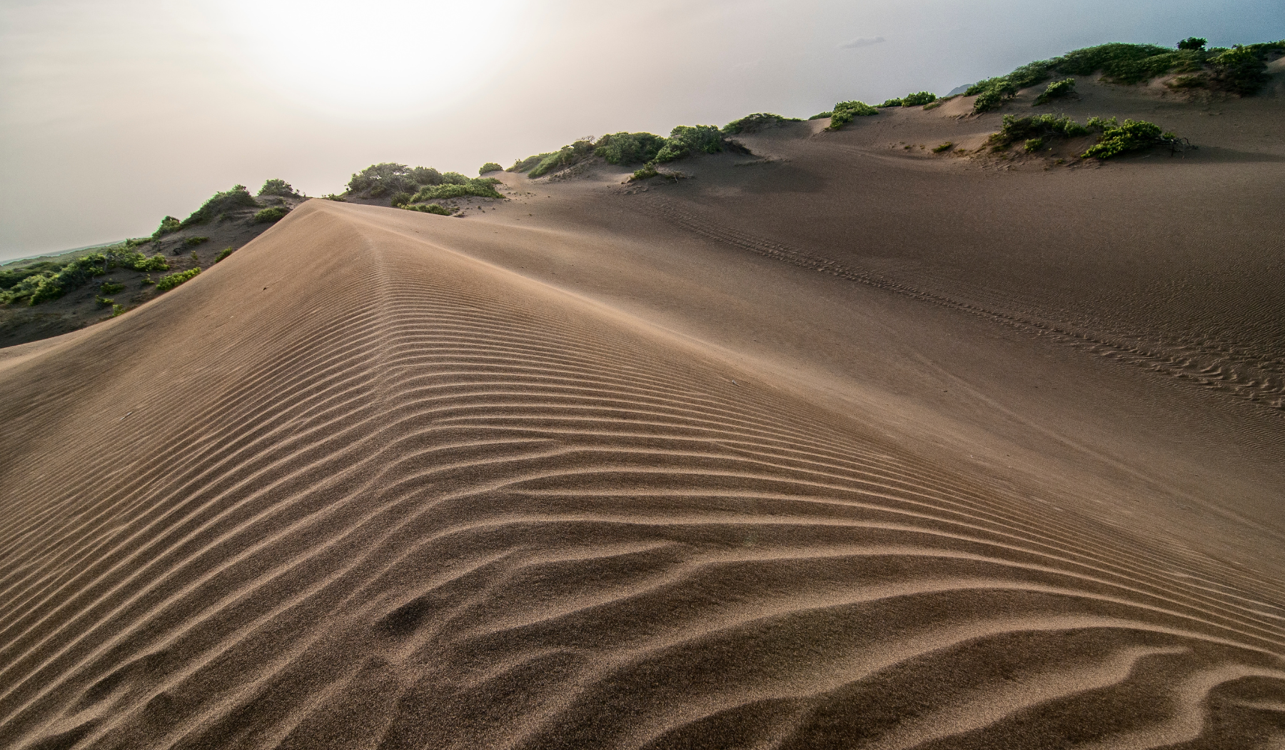 PUR 04.35 D.R. trip report, dunes of Bani