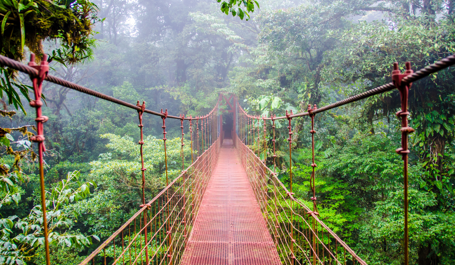 pont-suspendu-monteverde-costa-rica